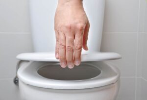 5bc69 hand raising toliet seat